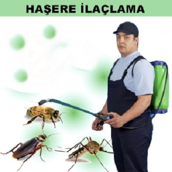 Bulanık Böcek İlaçlama